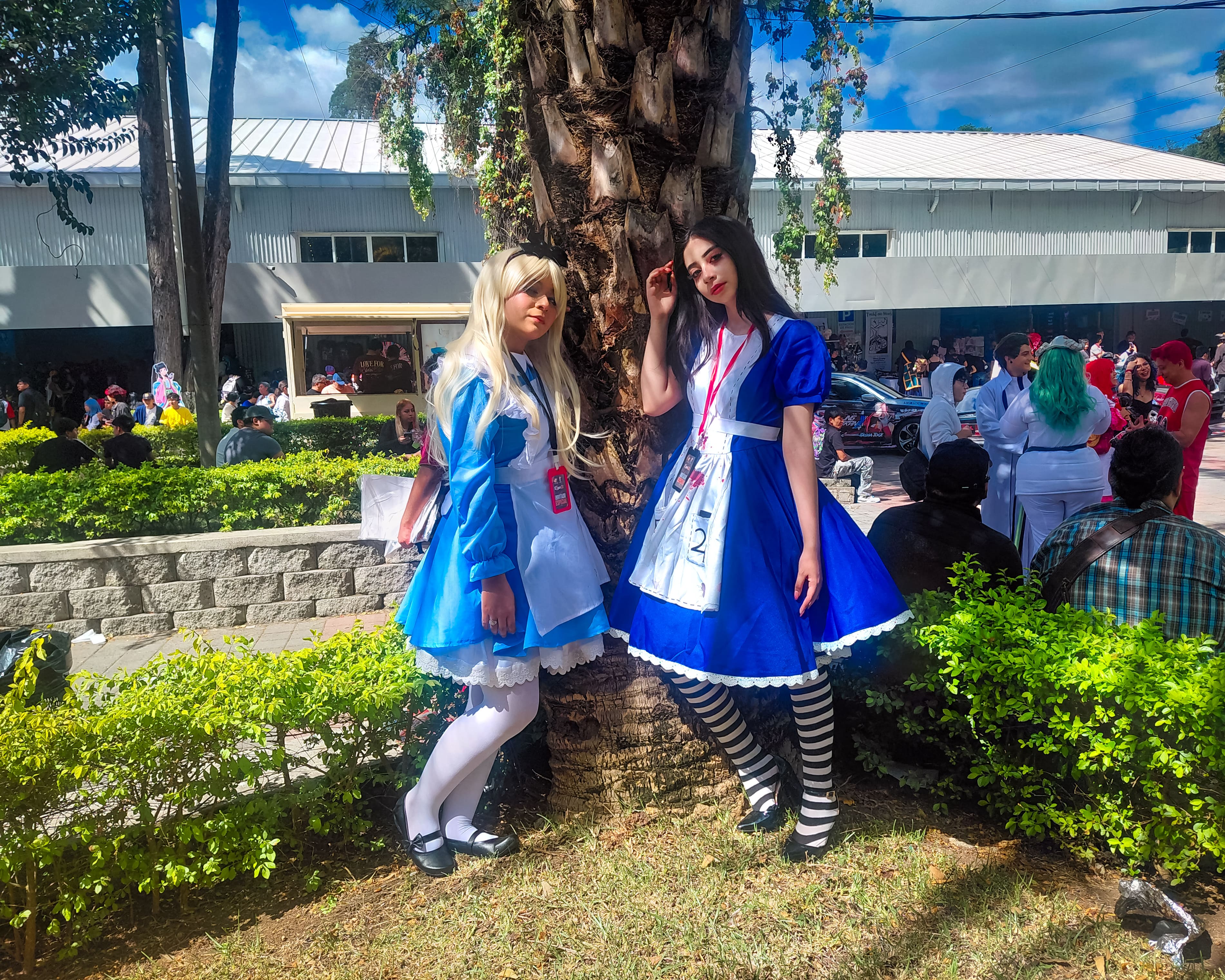 Mery Ahr y Ely Saravia - Alicia en el pais de las Maravillas y Cosplay Duo de Alice: Madness Returns - ExpoGT